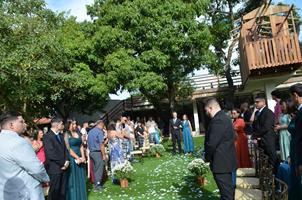 Plantas: imagem 10 de 15